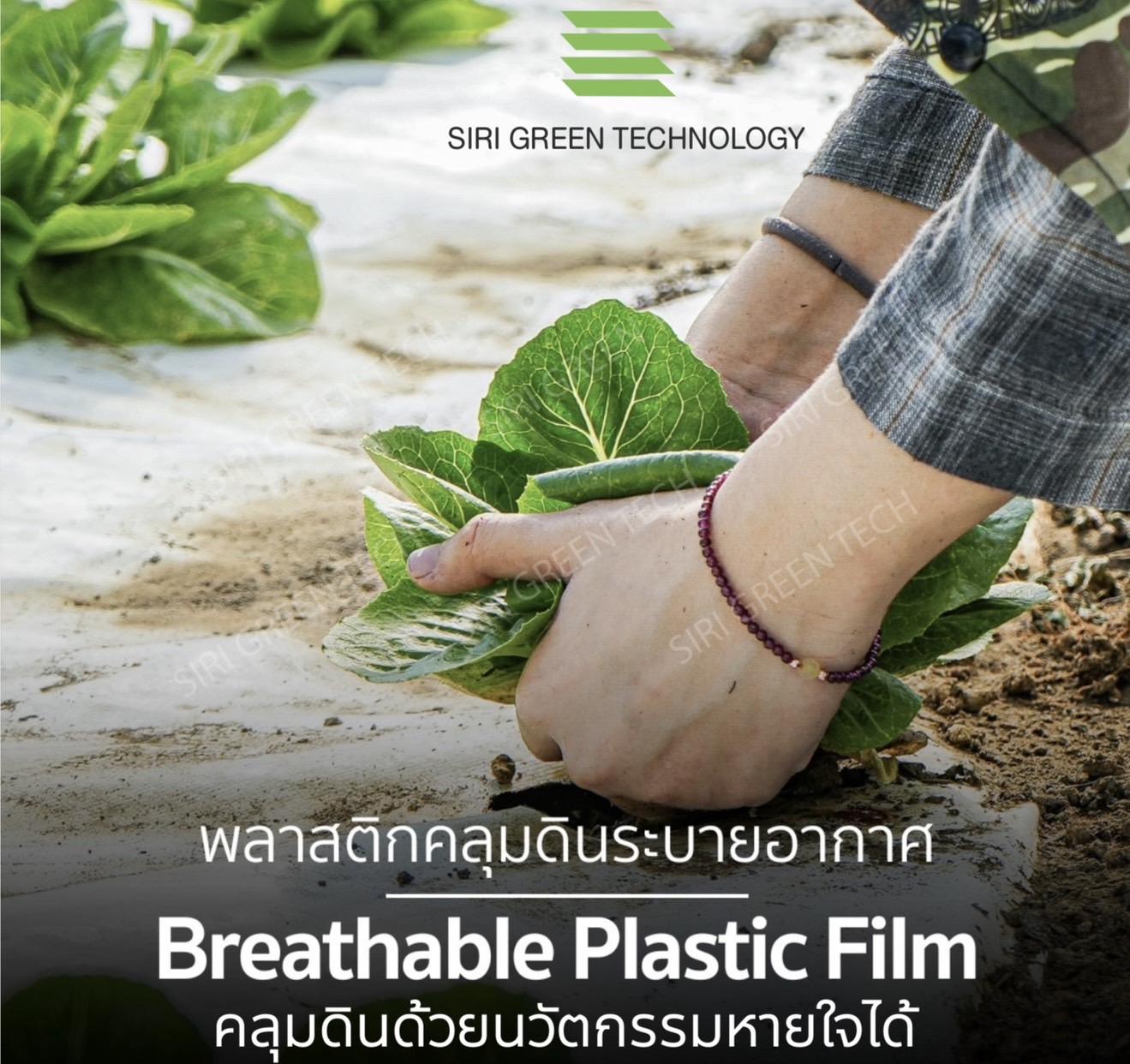 breathable plastic film