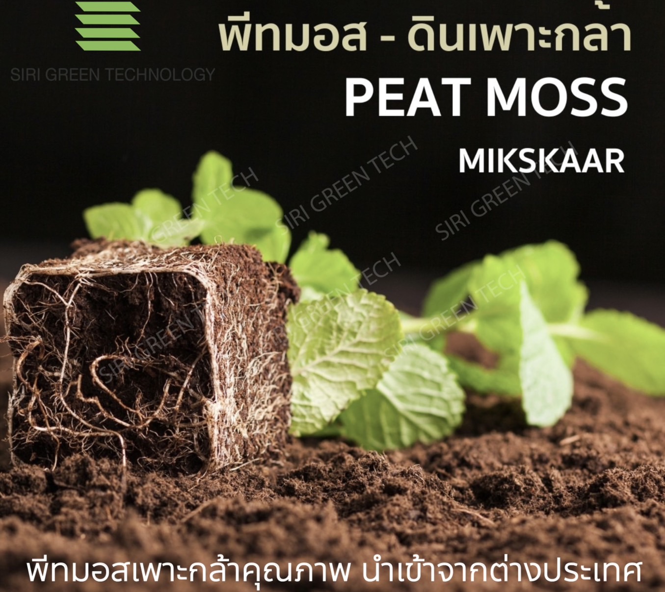 peat moss